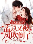 【都市爽文】纪慈恩孟骁夫人快出