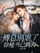 徐宁欢傅南祁傅总别虐了，徐秘书