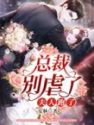 《总裁别虐了，夫人跑了》小说全