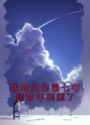 《顾昔年宝珠》我死后的第七年顾