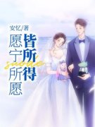 《愿宁所愿皆所得》小说章节免费