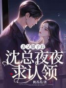 《洛璃沈朝澜》小说章节列表免费试读 去父留子后，沈总夜夜求认领小说全文