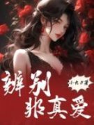 《辨别非真爱》小说全文免费试读