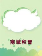 南城积雪傅晏礼沈南乔小说精彩内