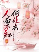 新书《鸢儿君彦钦安》小说全集阅
