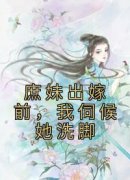 《苏云绮乌勒淮苏落落》庶妹出嫁
