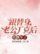顾黎沈安跟替身老公丁克后我翻车