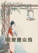 《盛清霜未浅》小说章节列表免费