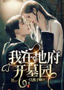《雪心凝纪如初》我在地府开墓园