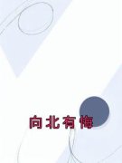 《向北有悔》沈北江洄然章节列表