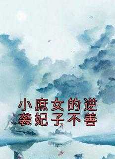 小庶女的逆袭妃子不善
