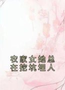 《齐南吴秀》小说完结版精彩阅读