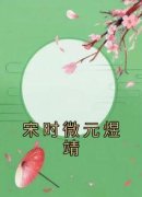 宋时微元煜靖小说免费阅读 宋时微