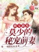 《沐葵莫御擎》小说在线阅读 《沐