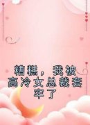 《糟糕，我被高冷女总裁套牢了》
