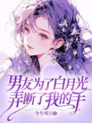 《白鸢栩林天驰》小说章节目录精