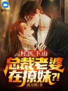 叶风云陆一曼小说 《村医下山：总