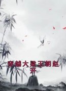 主角是赵开丰璇玑的小说 《穿越大