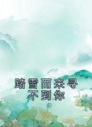 《江景年余蔓》小说全集免费在线阅读（踏雪而来寻不到你）