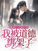贺兰陈亮继承亡夫家产后，我被道德绑架了小说大结局在线阅读