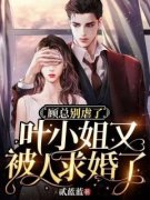 《顾总别虐了，叶小姐又被人求婚