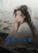 《盛希贺今安》盛希贺今安章节目