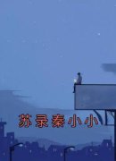 秦小小苏录免费阅读 苏录秦小小的