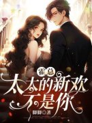 《霍总，太太的新欢不是你》洛向