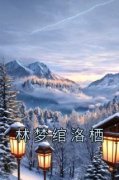 林梦绾洛栖(林梦绾洛栖)全文完结免