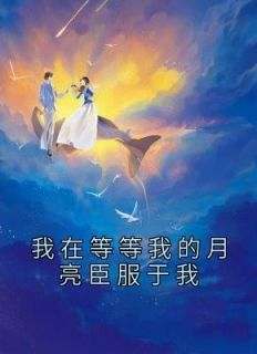 我在等等我的月亮臣服于我