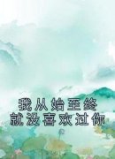《我从始至终就没喜欢过你》小说