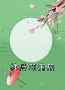 《林诗羽萧辰》林诗羽萧辰全文在