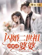 主角是叶昔元昱的小说 《闪婚二世