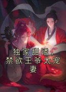 《独家甜诱，禁欲王爷太宠妻》小