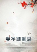 热文《谢清婉楚景桓》等不到相见