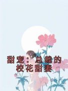 《甜宠：总裁的校花甜妻》小说章