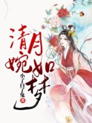 《婉儿萧逸》全文在线试读  第2章