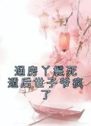 木槿纪玄主角通房丫鬟死遁后世子