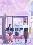 《易婕妤严熠珩》小说完结版在线