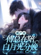 经年驯养免费阅读，经年驯养章节