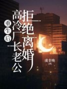 《沈南栀顾景行》小说全文精彩阅
