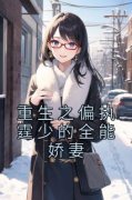 沈娉婷盛斯霆小说试读_重生之偏执
