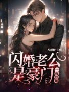 一夜替嫁：闪婚老公是豪门小说精