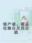 难产夜，傅总在陪白月光分娩小说