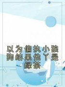 《洛南希墨非白》小说章节列表免