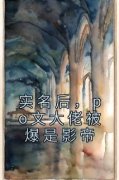 宋书书陆亦淮实名后，po文大佬被爆