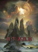 主角是明清沉风的小说 《月下清风