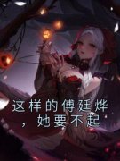 《苏叶绾傅廷烨》小说章节列表在