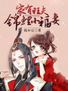 新书《苏容高生》小说全集阅读 家