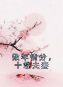 《数年情分，十载夫妻》小说章节